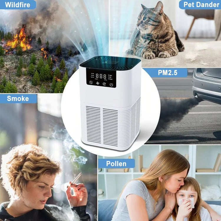 Multi-Function HEPA Air Purifier with Ionizer